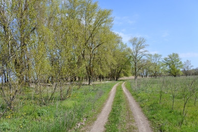 Поход в Тополёвую рощу (пешая группа)