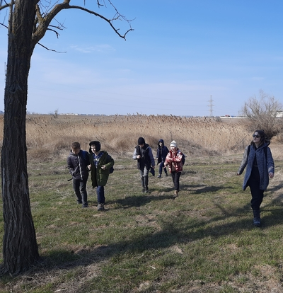 Поход в Тополёвую рощу