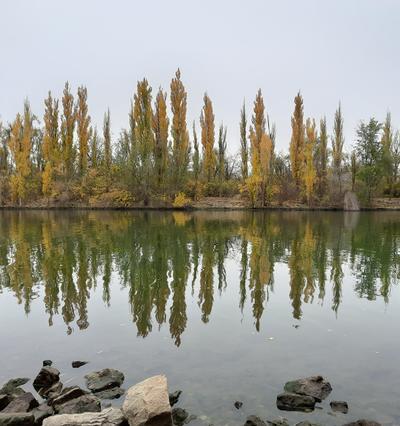 Осенние каникулы